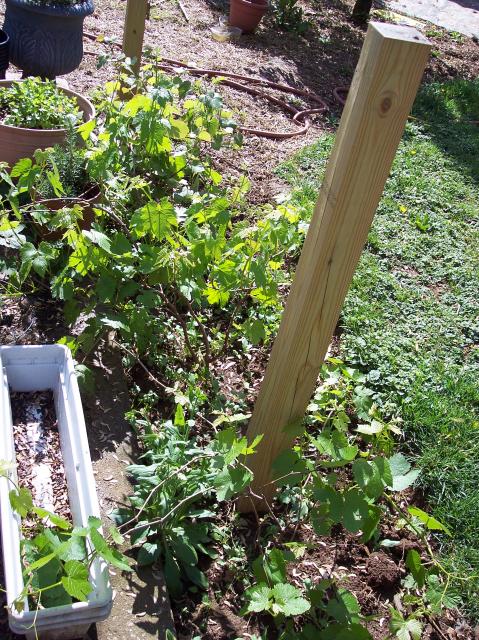 1317_100_1183.jpg