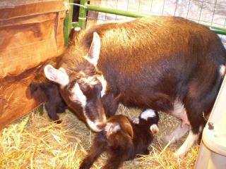 1324_gabby2011.jpg