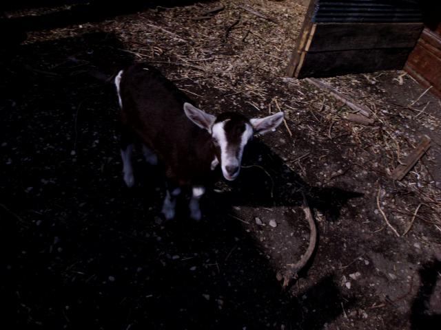 1673_024.jpg