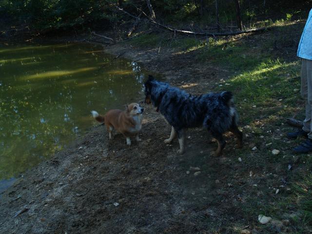 603_septemberoctober_061.jpg