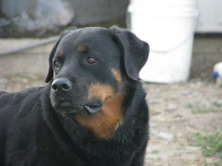 72_img_4192.jpg