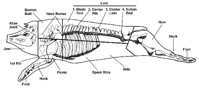 745_hogchart101702.gif