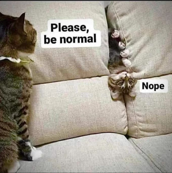 043d450db49e8401.png