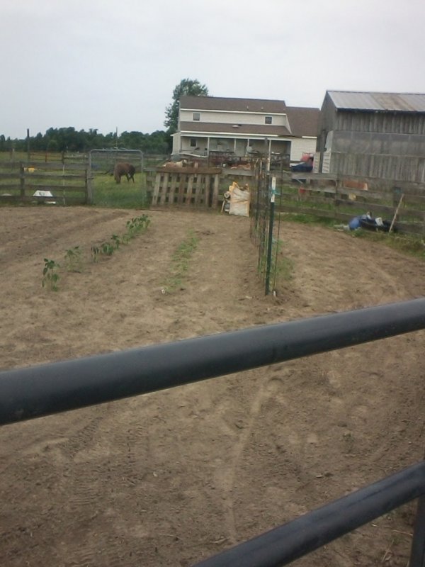 0528181349.jpg
