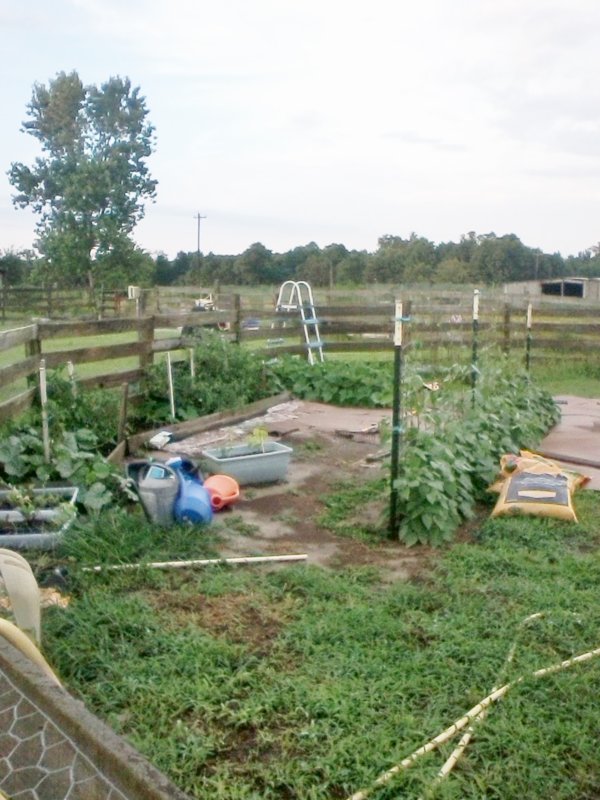 0716172001.jpg