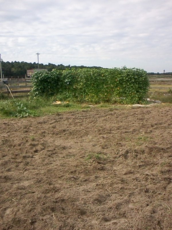 091417004.jpg