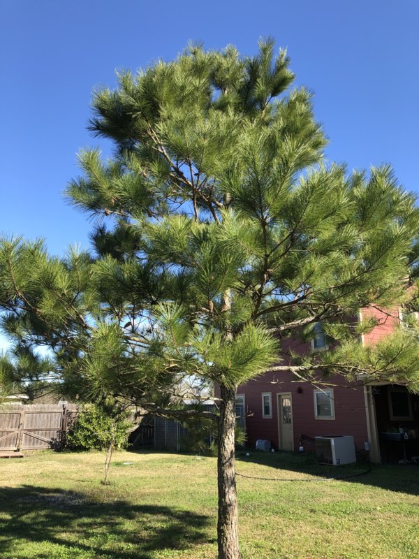 09910495-C04C-4254-812D-4569903E1E21.jpeg