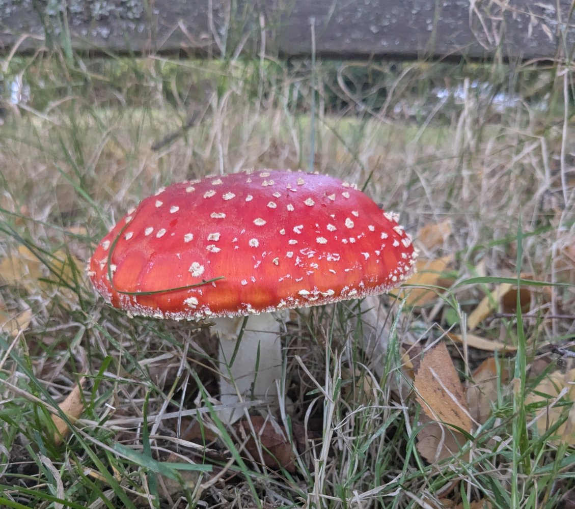 1000011591.jpg