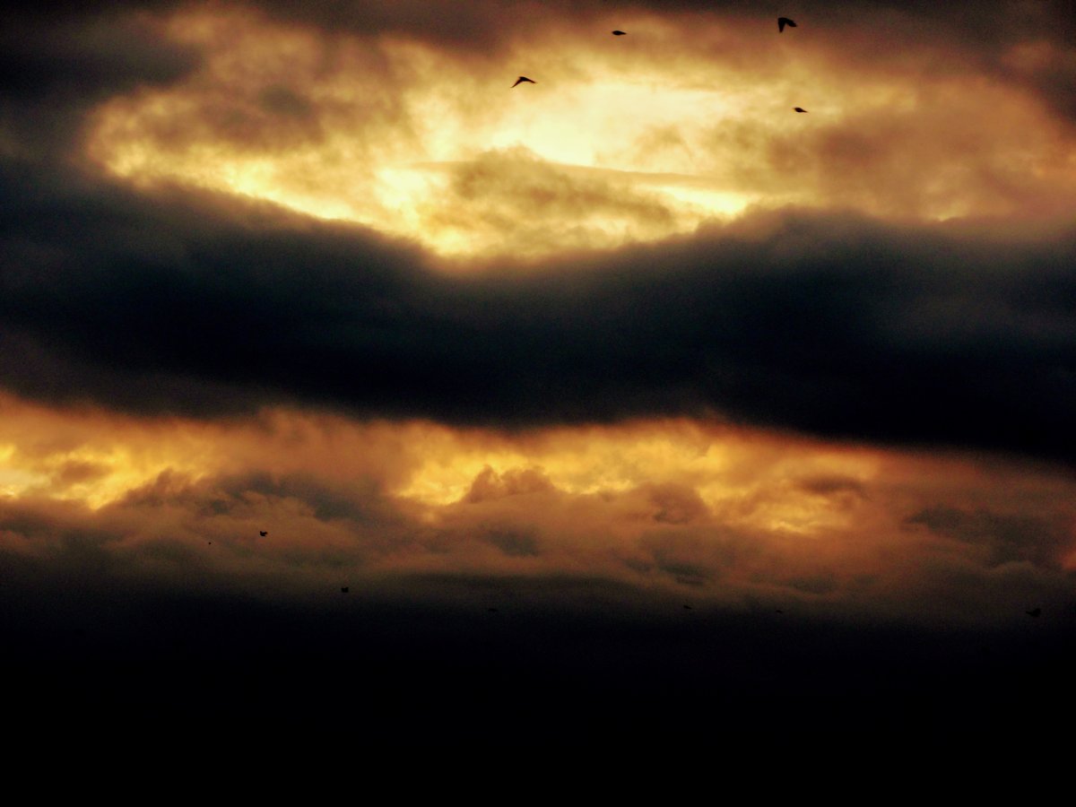 100_0013~2.jpg