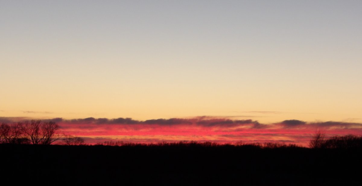 100_0020~2.jpg