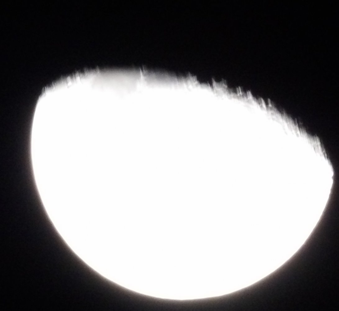 100_0023~2.jpg