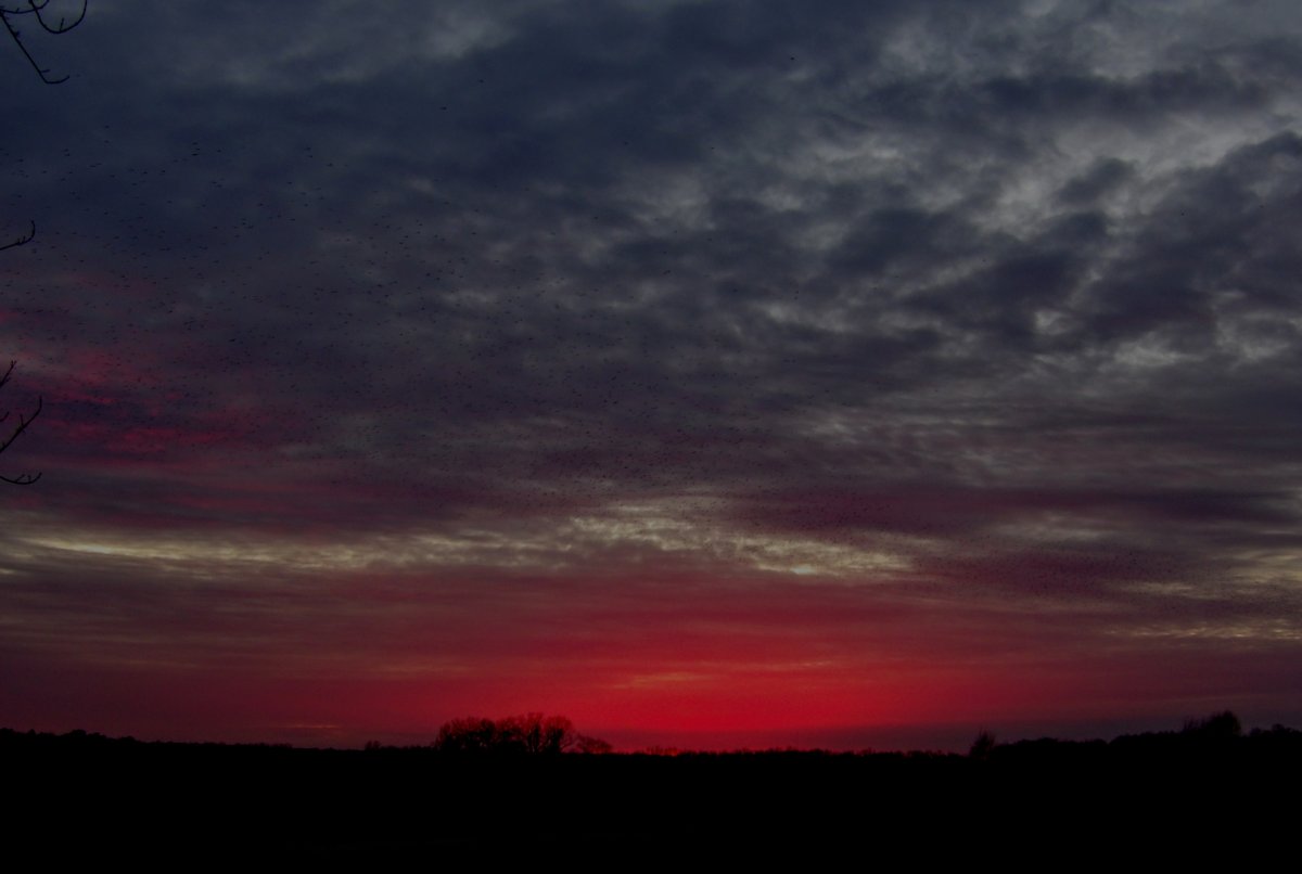 100_0032~3.jpg