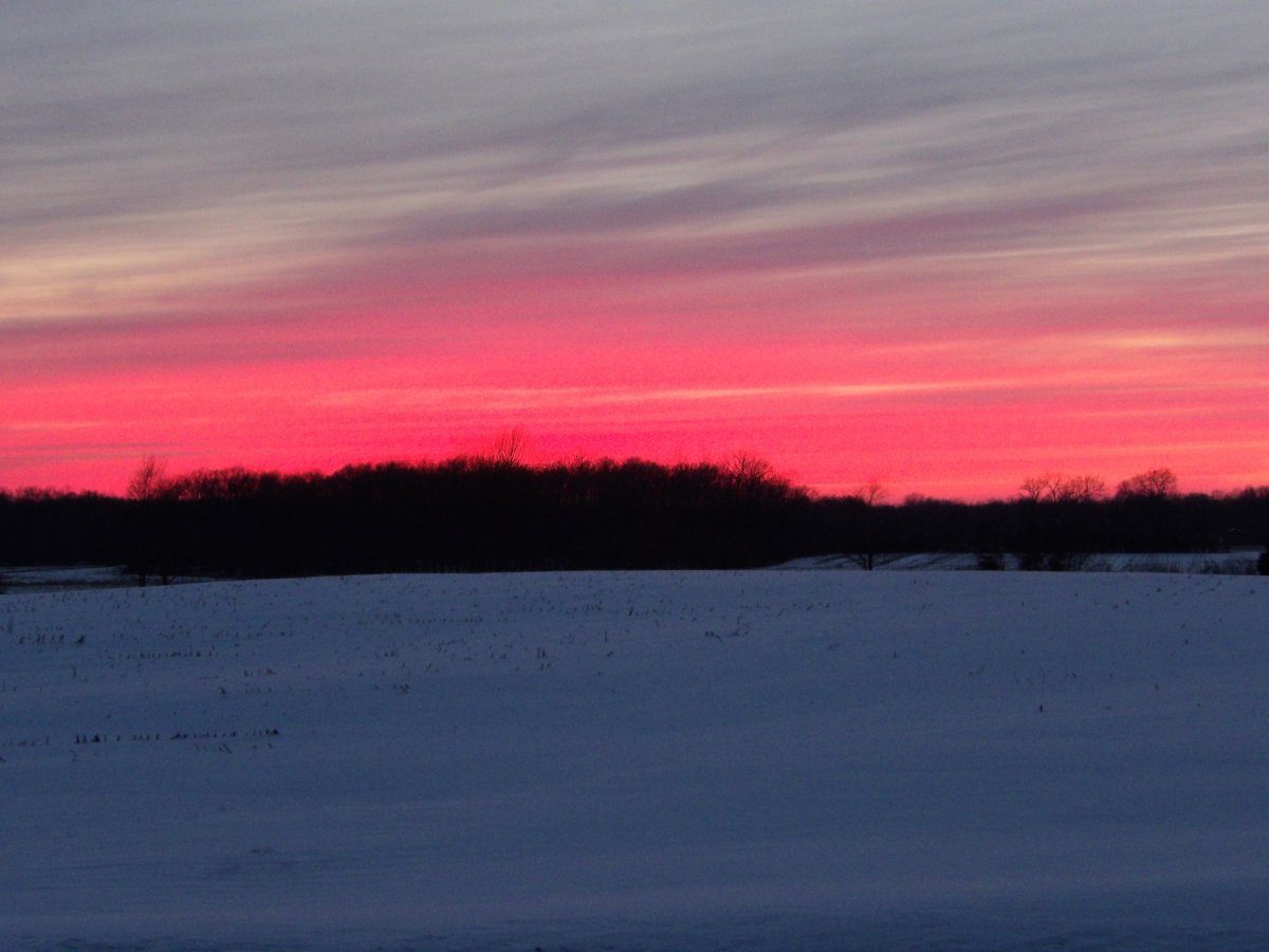 100_0070~2.jpg