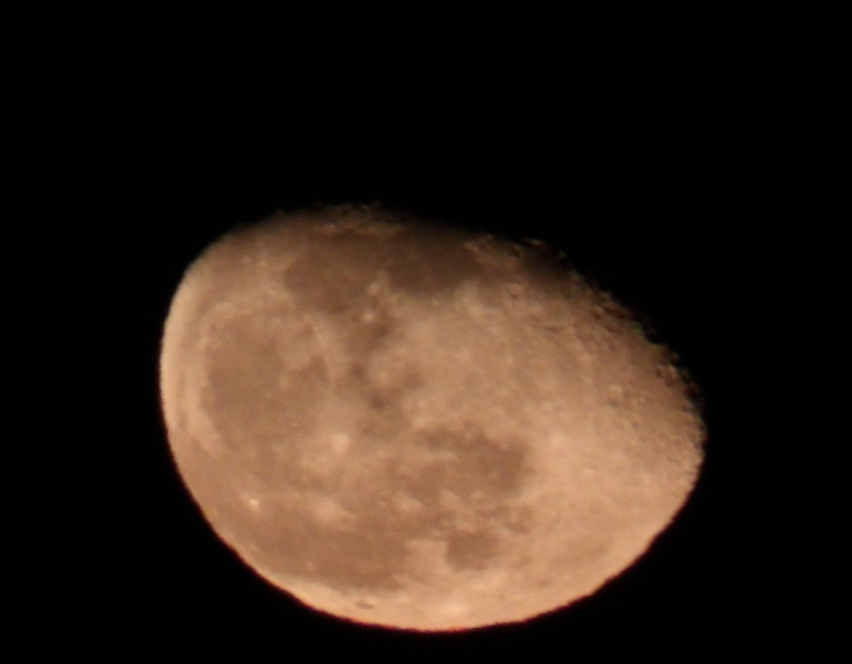 100_0079~2.jpg