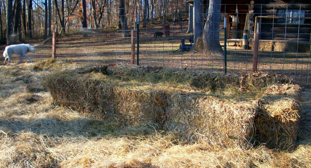 100_0301.JPG