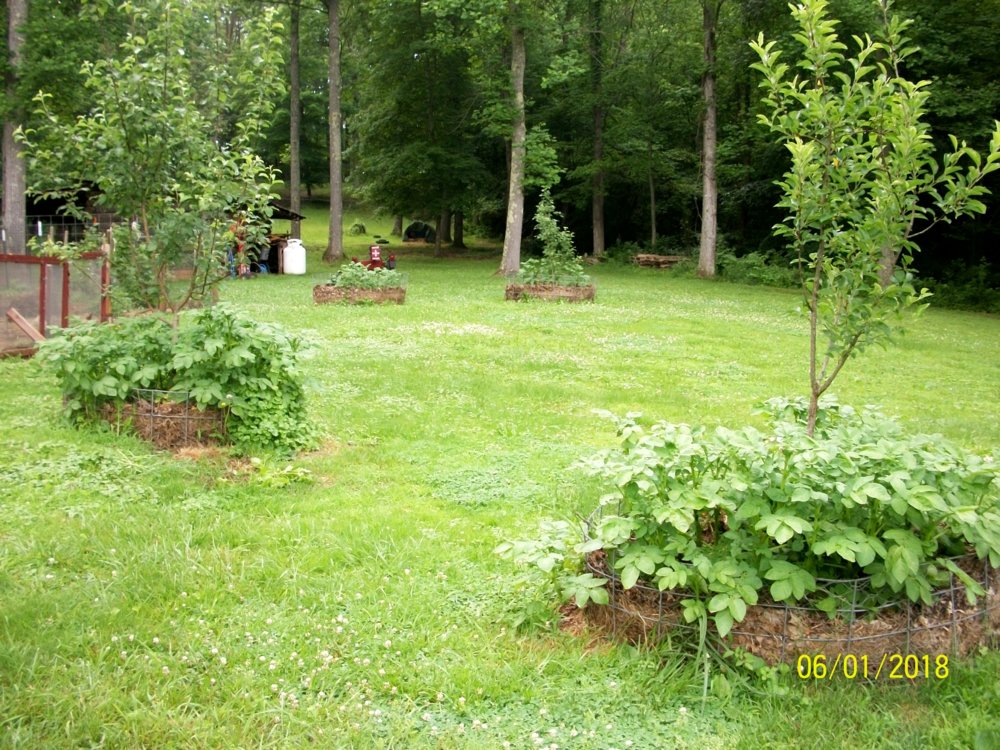 100_0697.JPG