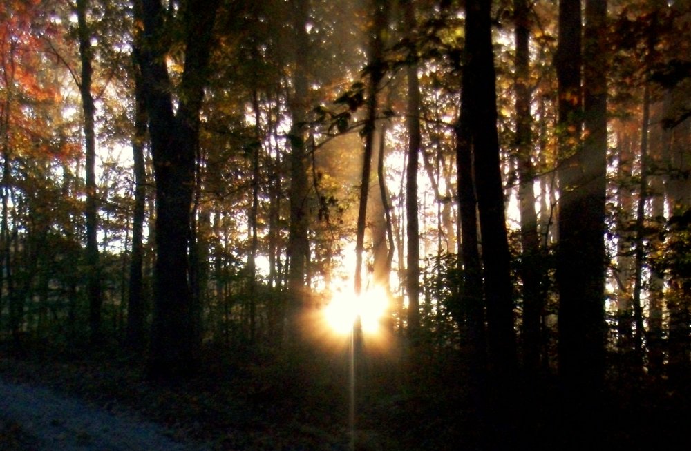 100_1108.JPG