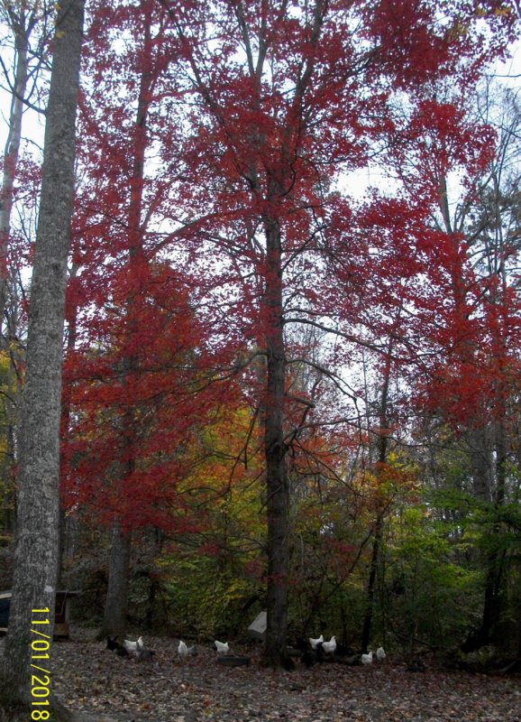 100_1139.JPG