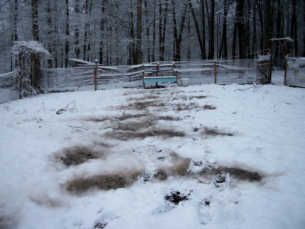 100_1384.JPG