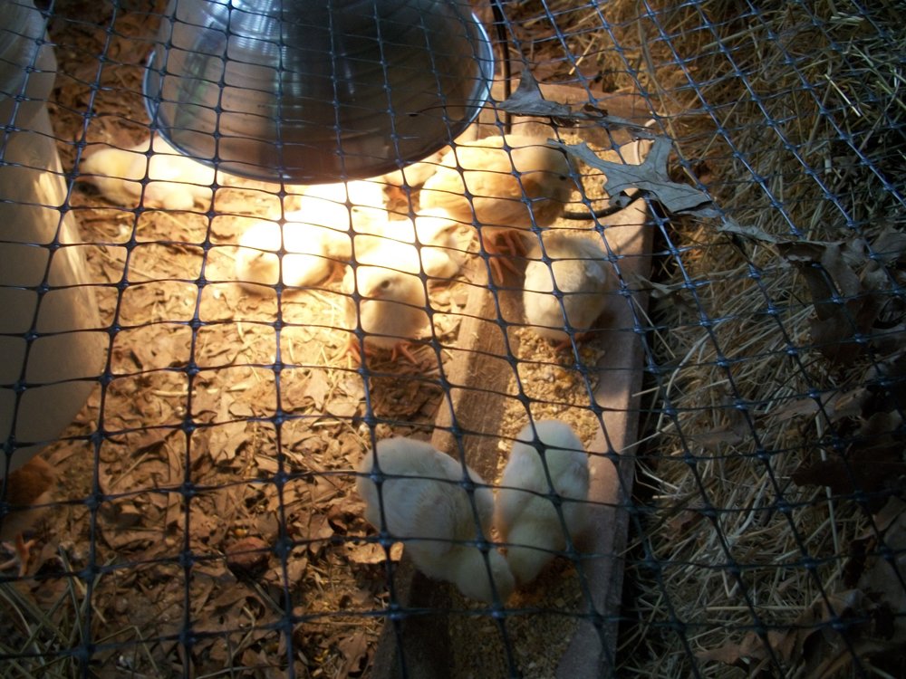 100_1514.JPG