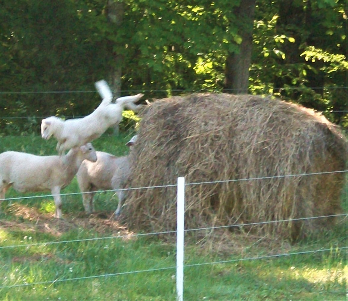 100_2080.JPG