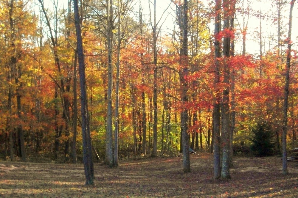 100_2242.JPG