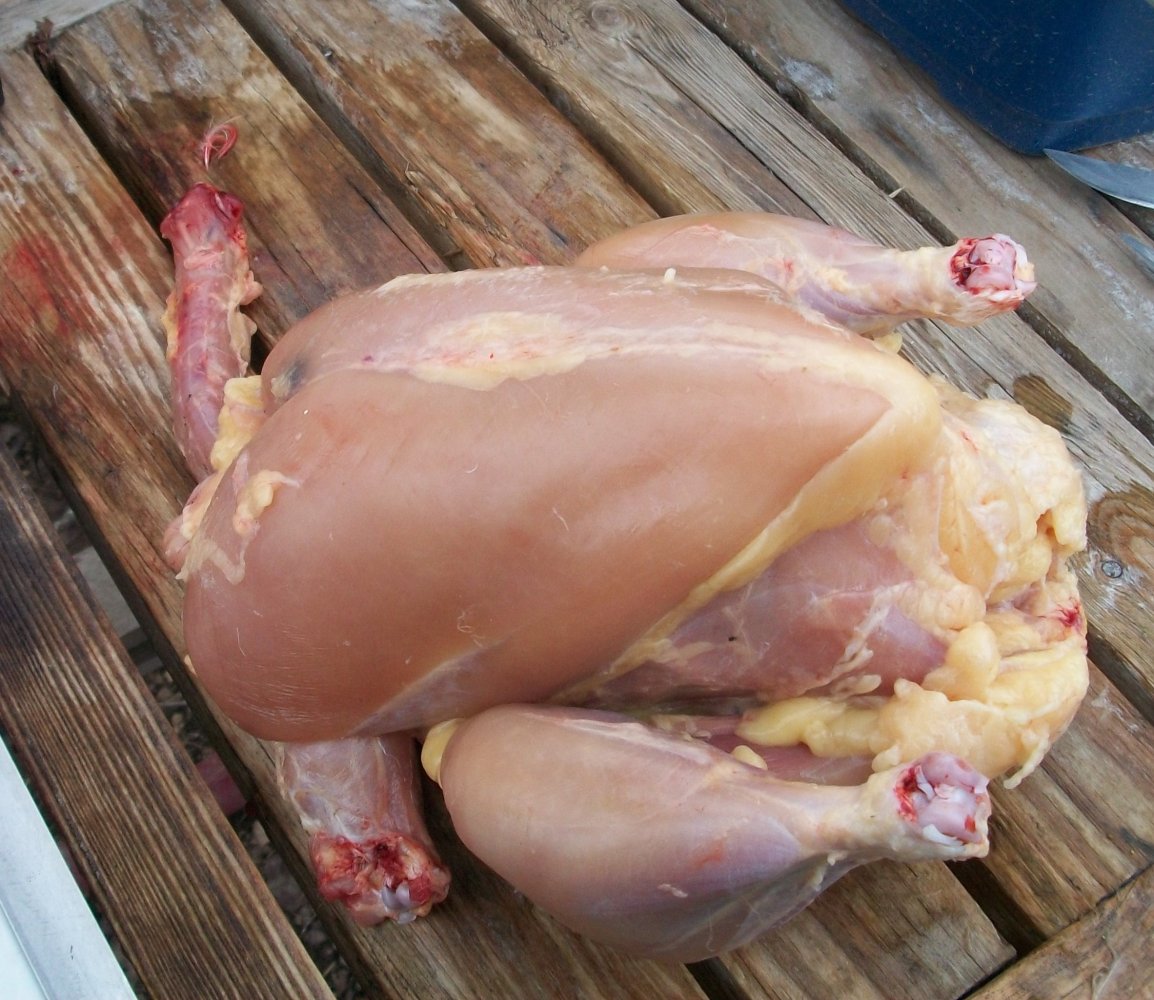 100_2588.JPG