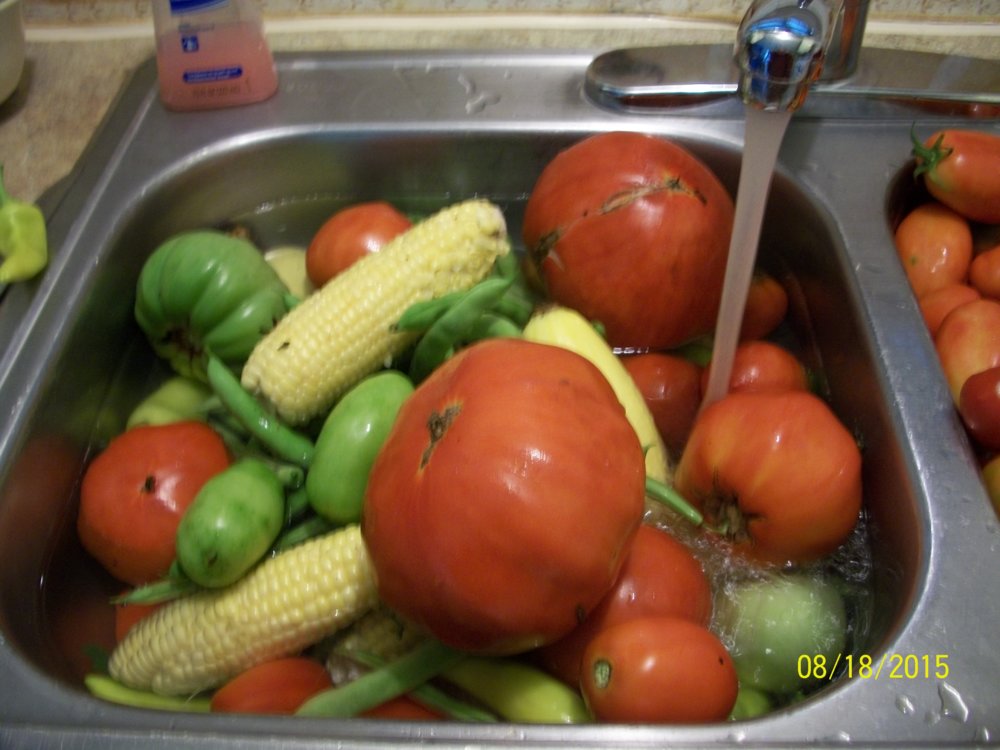 100_3456 - Copy.jpg