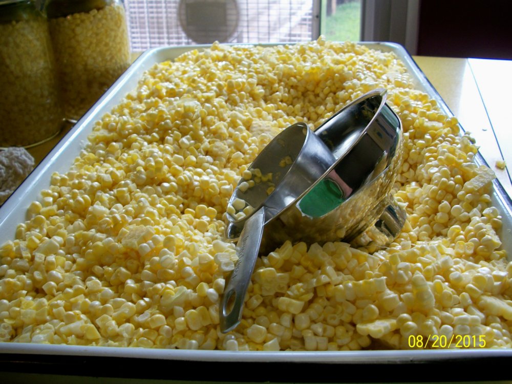 100_3476 - Copy.jpg