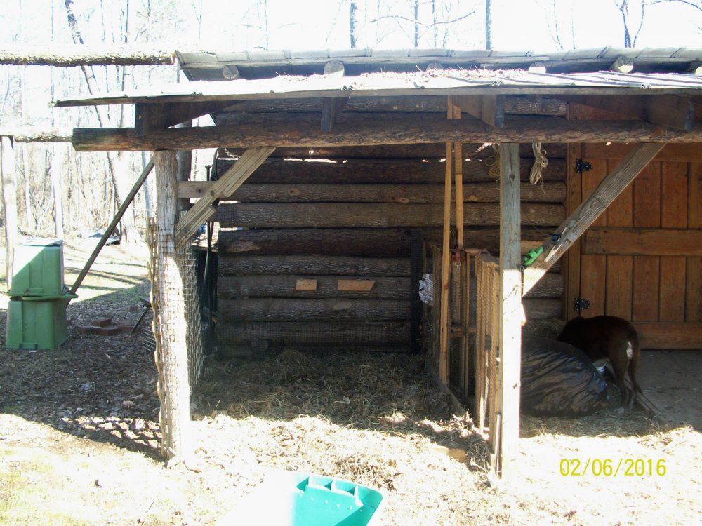 100_4170.jpg