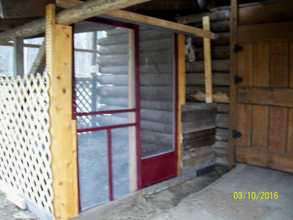 100_4271.jpg