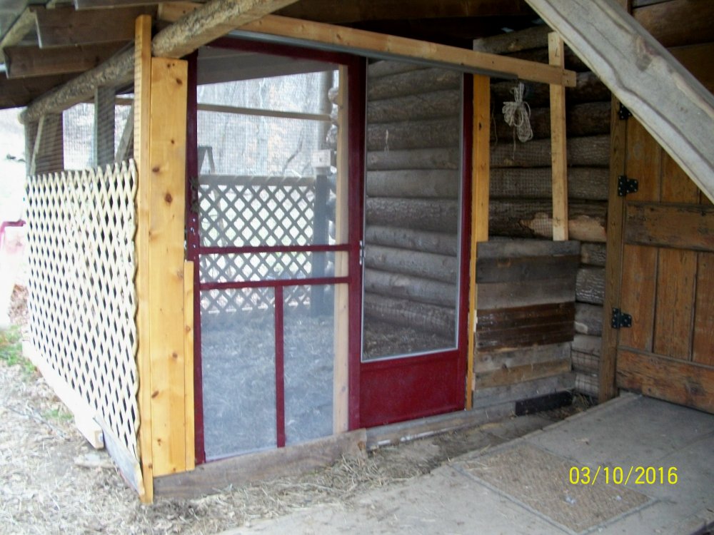100_4272.jpg