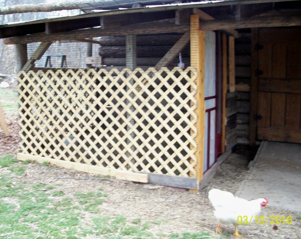 100_4273.jpg