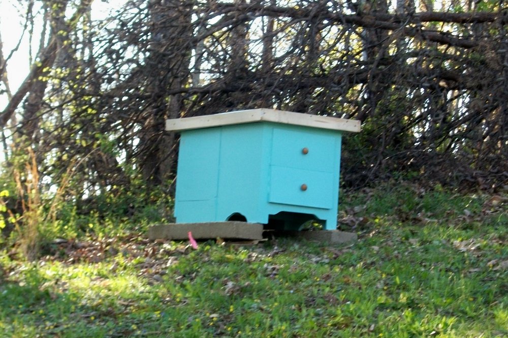 100_4545.jpg