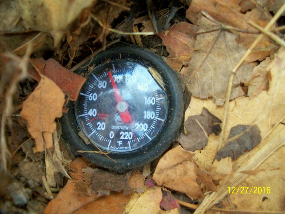 100_5310.jpg