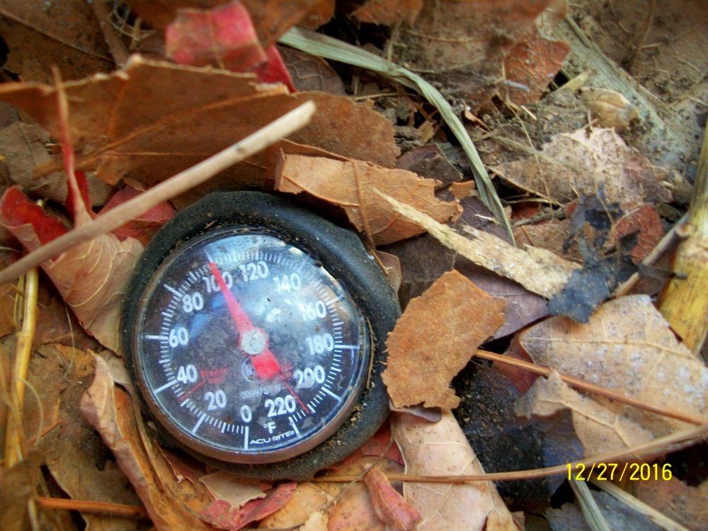 100_5316.jpg