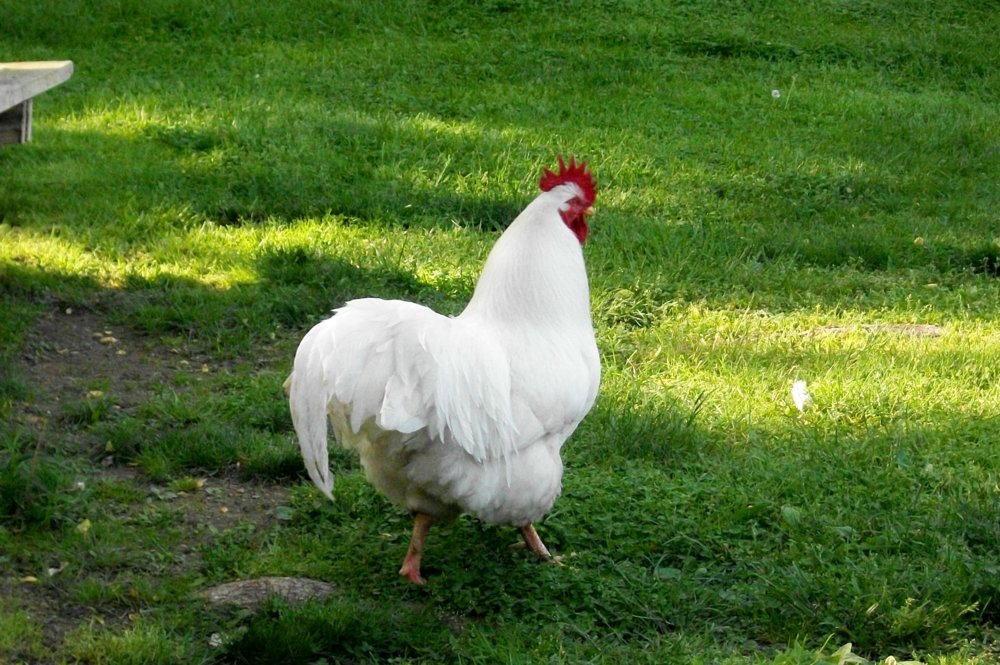 100_5581.jpg