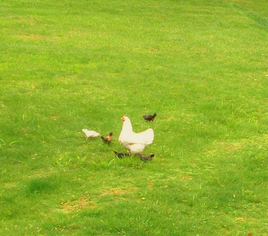 100_5627.jpg