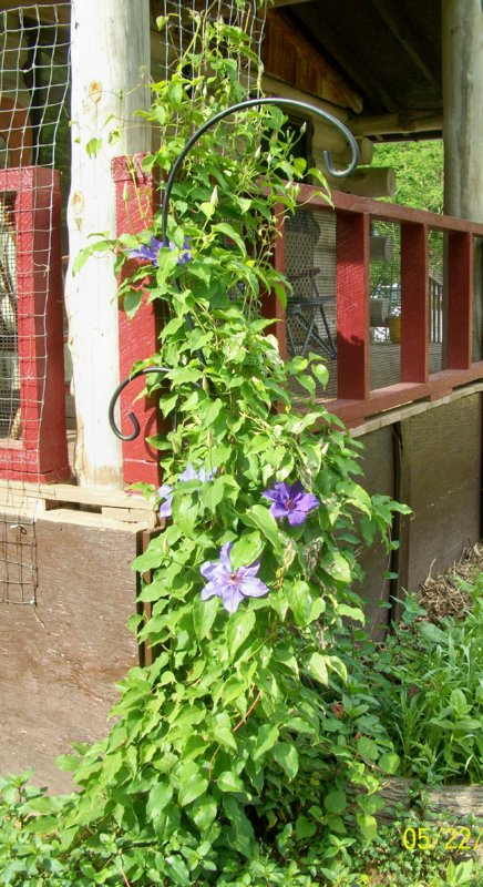 100_5649.jpg