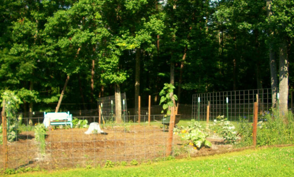 100_5875.JPG
