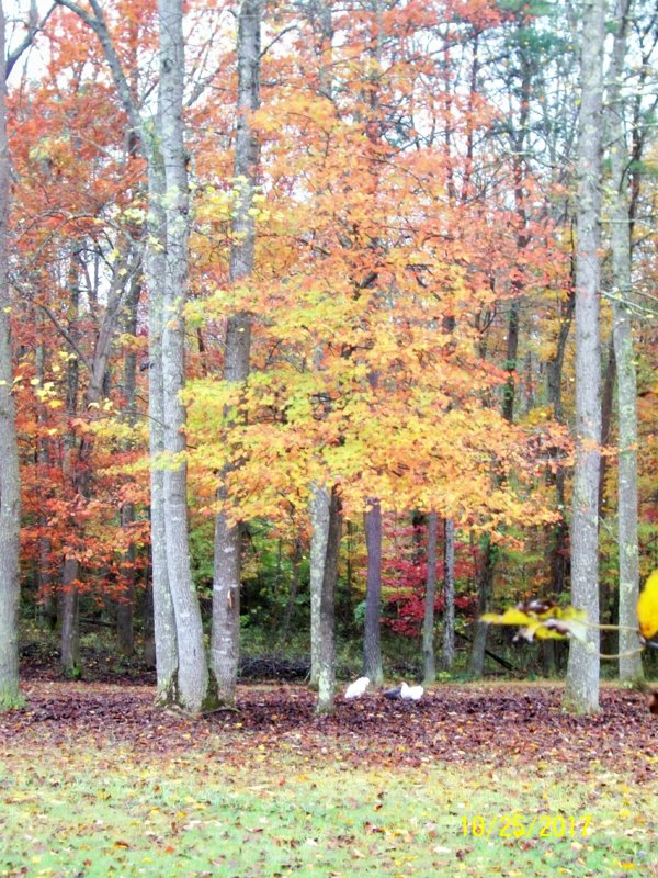 100_6143.JPG
