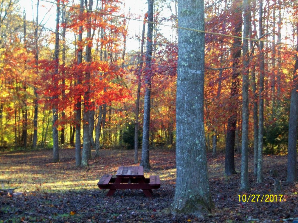 100_6147.JPG