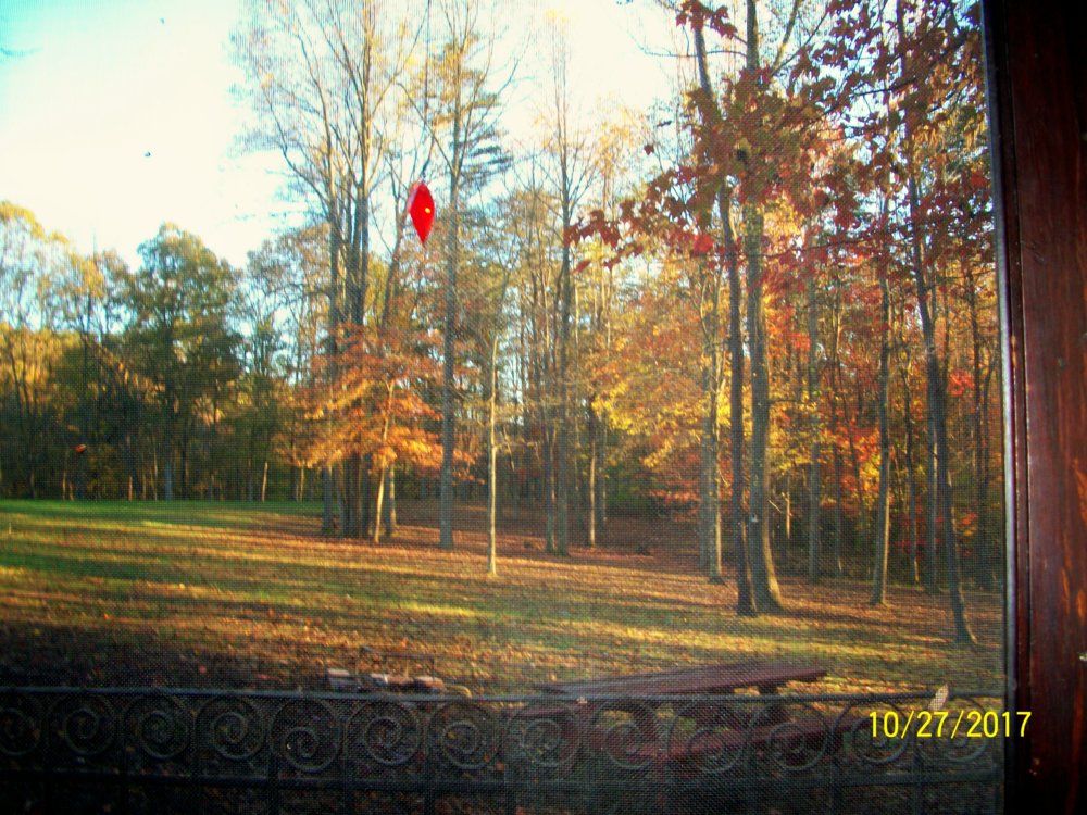 100_6155.JPG