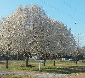 10151998_741333202544970_690159295_n (2).jpg
