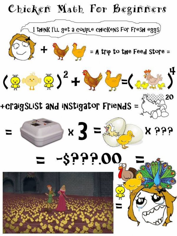 10689492_381803258642092_3217762486656531952_n.jpg