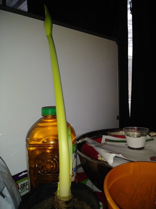 1230181514c.jpg