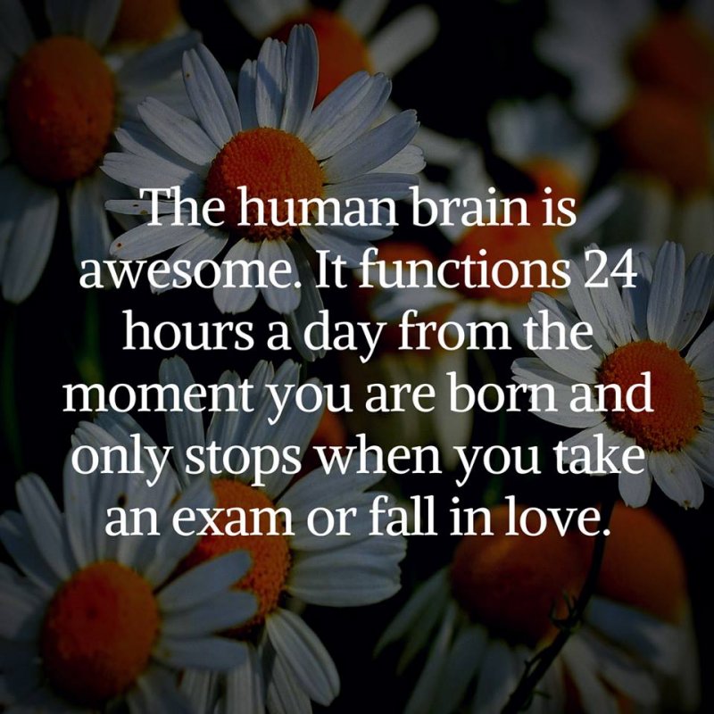 14993467_1179898665435072_3755188921964863095_n.jpg