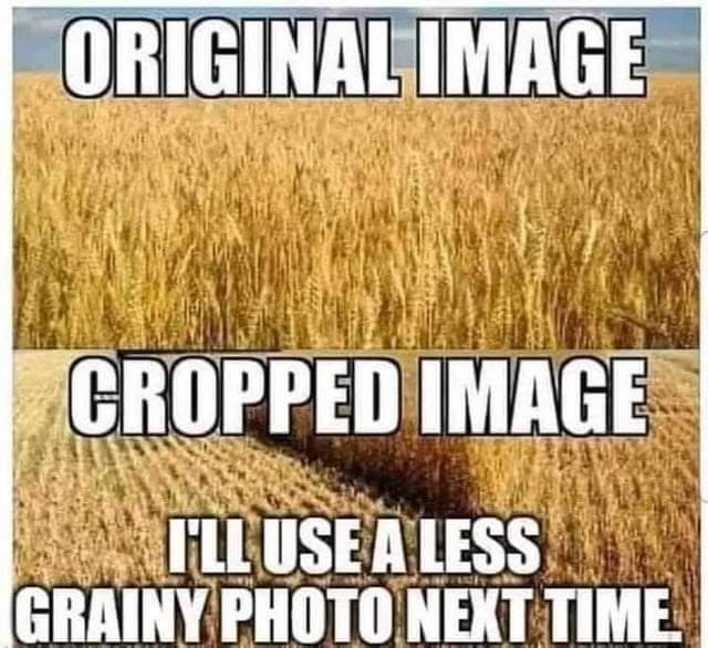 156675308_10158477515727753_4614960235052365780_n.jpg