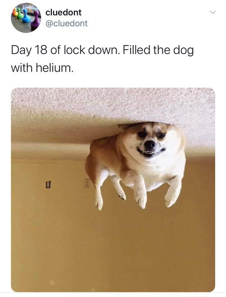 1586656549874.png