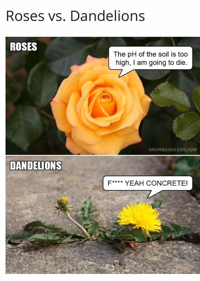 1588183498269.png